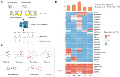 Integrating metabolomics, bionics, and culturomics to study probiotics-driven drug metabolism